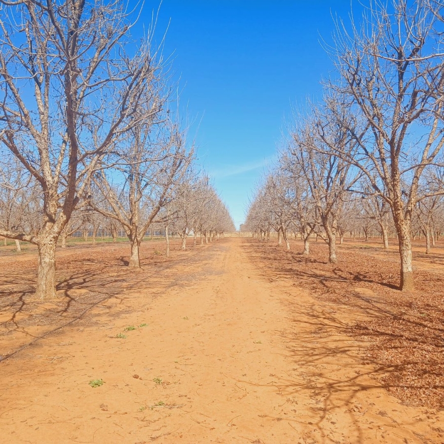  Bedroom Property for Sale in Hartswater Rural Northern Cape